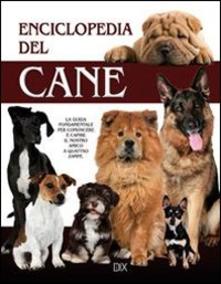 Copertina non disponibile