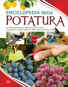 Copertina non disponibile