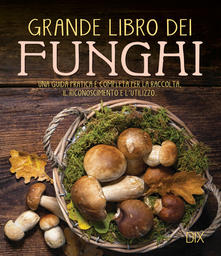Copertina non disponibile