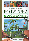 Copertina non disponibile