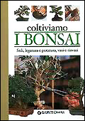 Copertina non disponibile