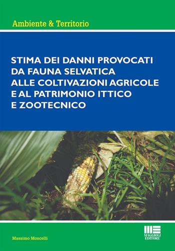 Copertina non disponibile
